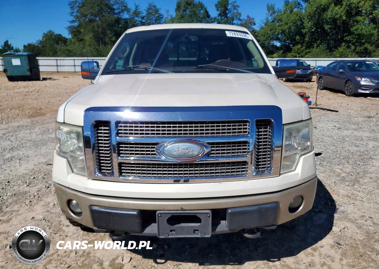 2009 Ford F-150 Fx4-King Ranch-Lariat-Platinum-Xl-Xlt VIN:1FTPW14V59KB98553 - 5