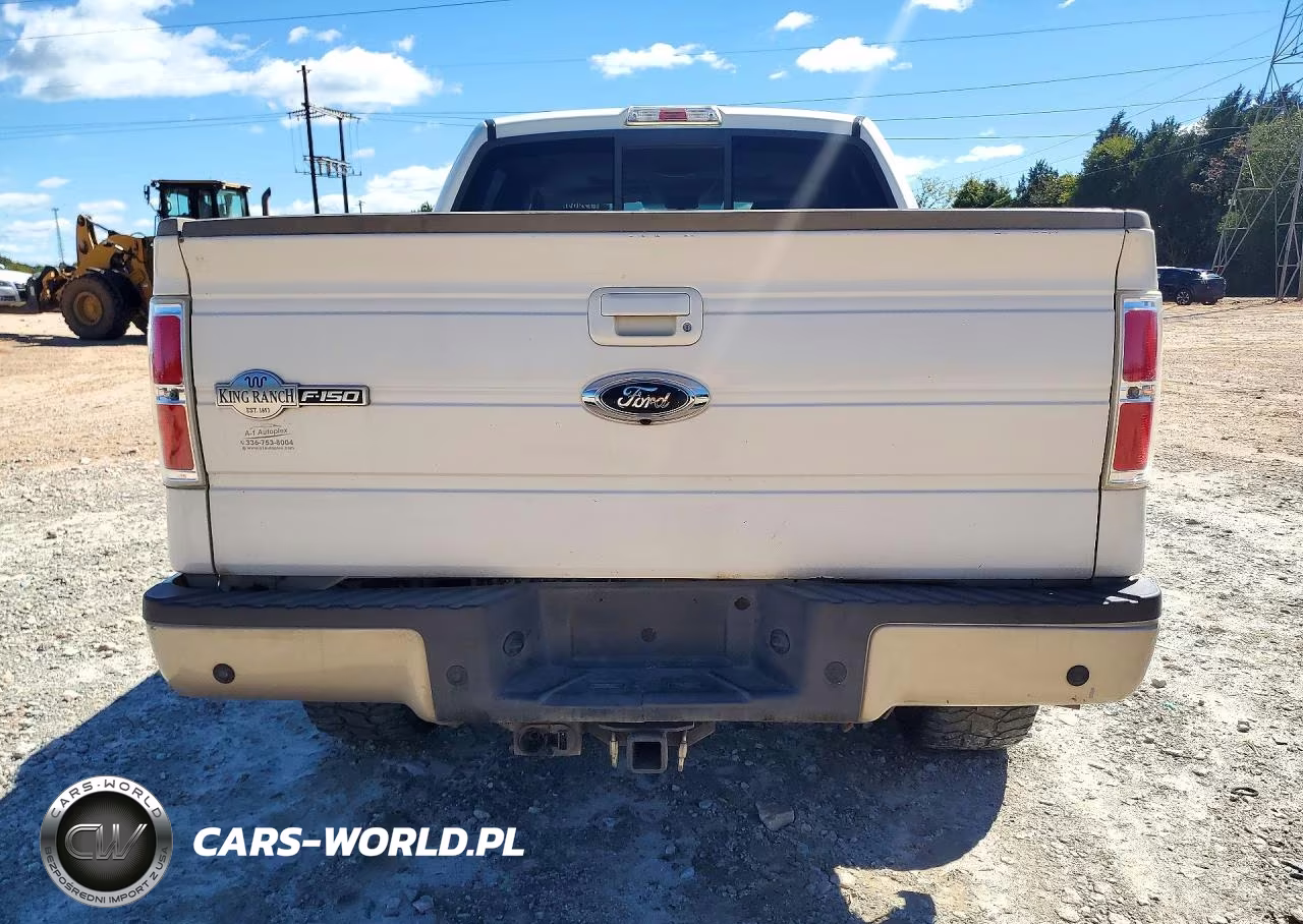 2009 Ford F-150 Fx4-King Ranch-Lariat-Platinum-Xl-Xlt VIN:1FTPW14V59KB98553 - 6