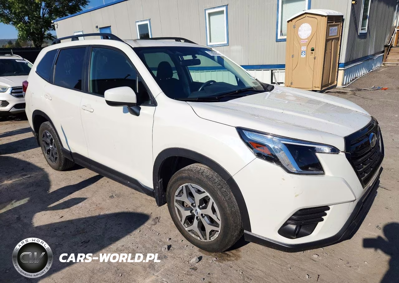 2022 Subaru Forester Premium VIN:JF2SKAEC2NH419215 - 4