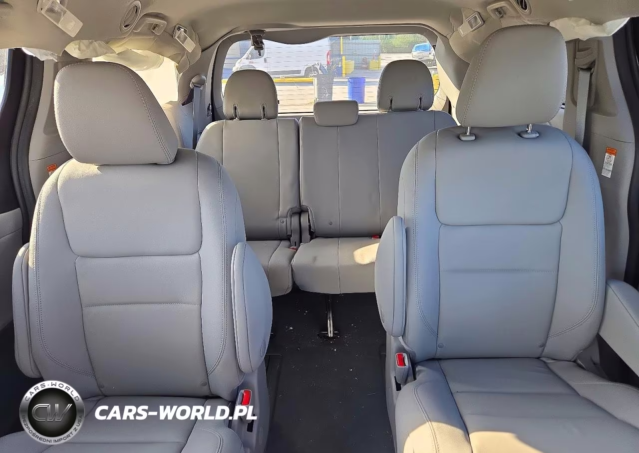 2020 Toyota Sienna Xle 7-Passenger VIN:5TDDZ3DC6LS234738 - 10