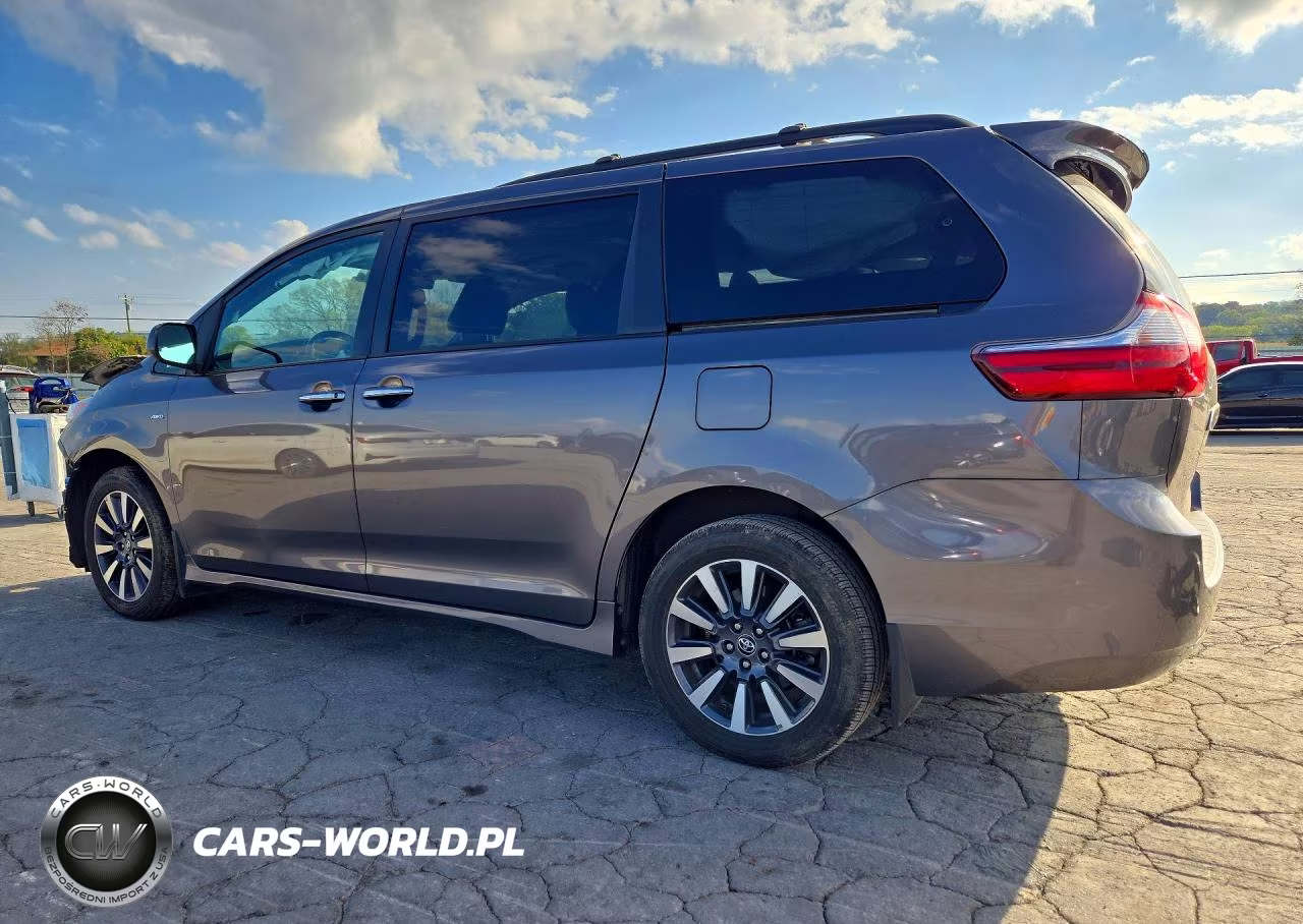 2020 Toyota Sienna Xle 7-Passenger VIN:5TDDZ3DC6LS234738 - 2