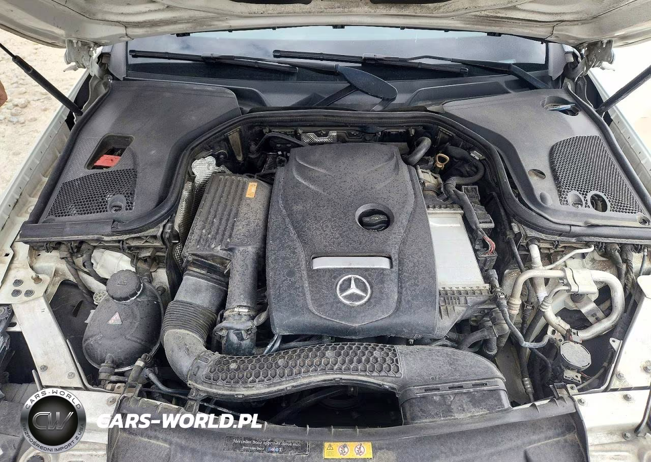 2017 Mercedes-Benz E 300 VIN:WDDZF4JB0HA268555 - 11
