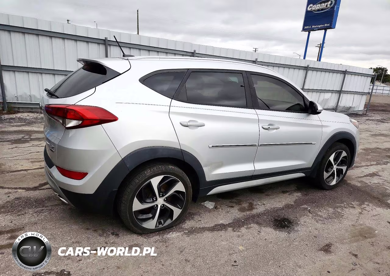 2017 Hyundai Tucson Limited VIN:KM8J3CA25HU582819 - 3