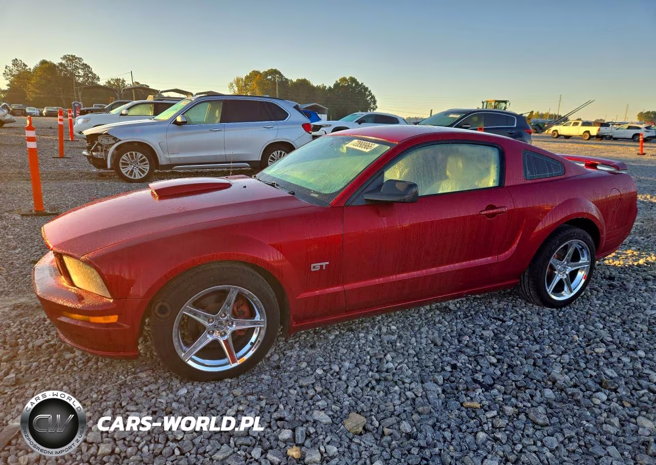 2008 Ford Mustang Gt VIN:1ZVHT82H185190849 - 1