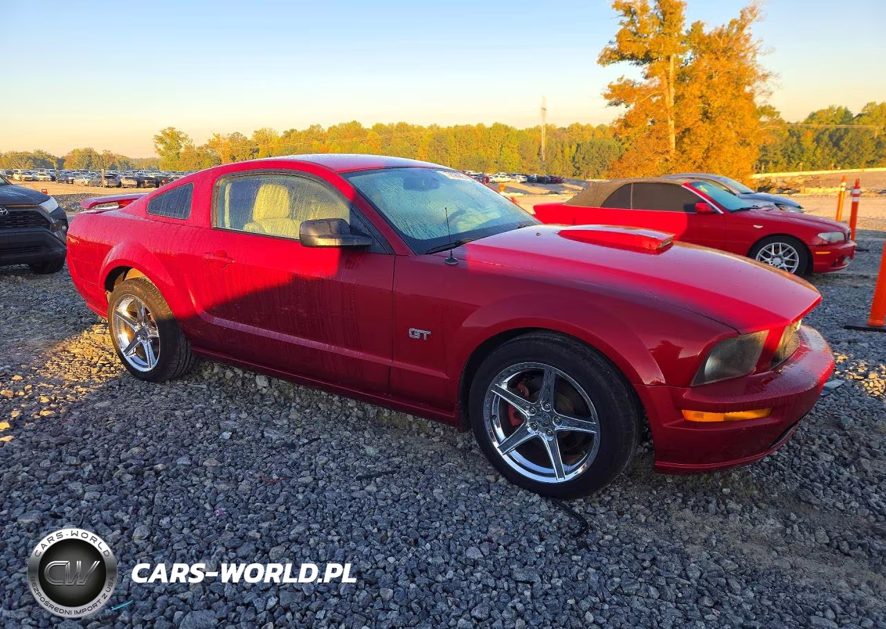 2008 Ford Mustang Gt VIN:1ZVHT82H185190849 - 4
