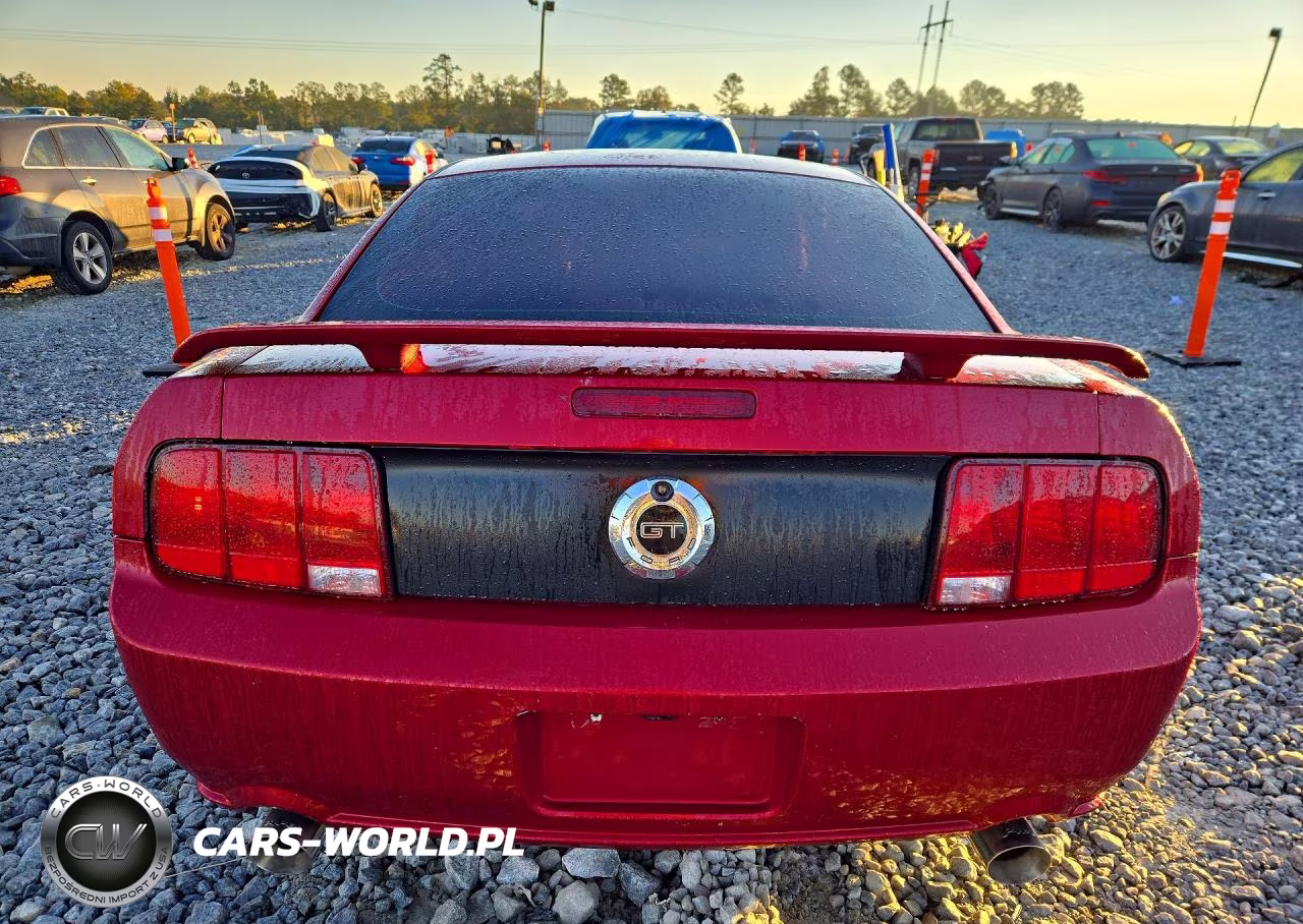 2008 Ford Mustang Gt VIN:1ZVHT82H185190849 - 6