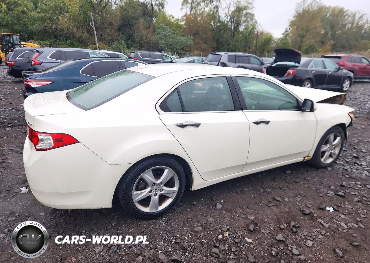 2010 Acura Tsx VIN:JH4CU2F68AC033321 - 3