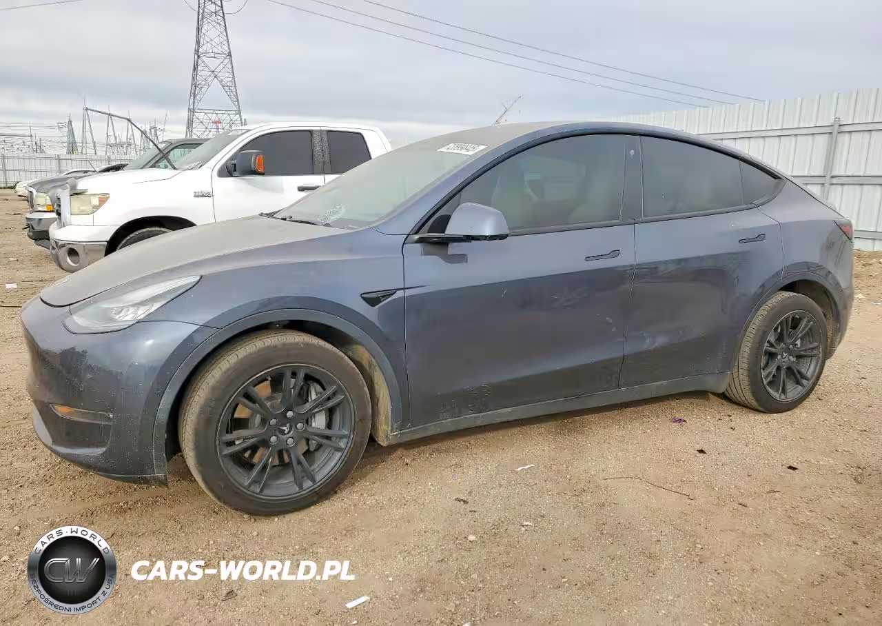 2020 Tesla Model Y