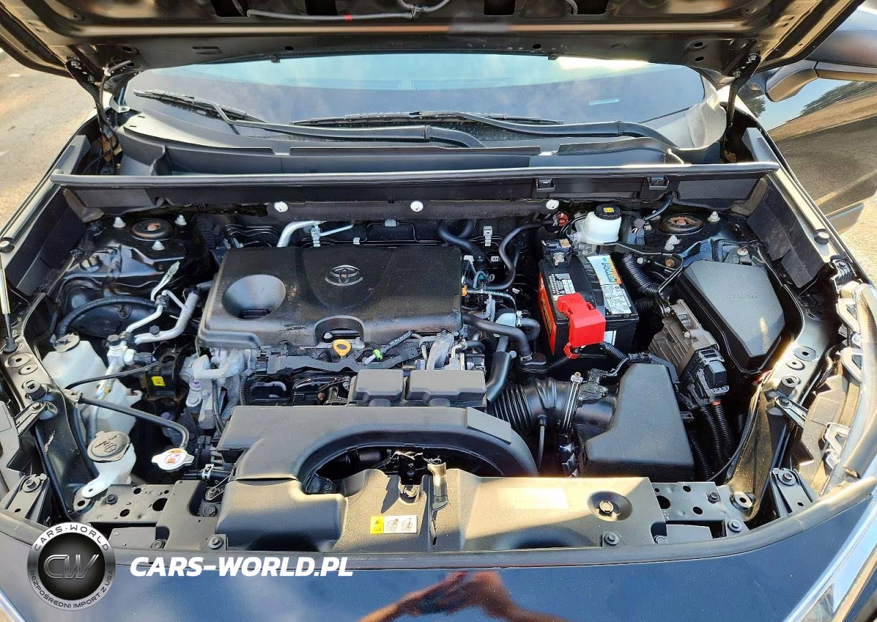 2019 Toyota Rav4 Le VIN:2T3F1RFV2KW083069 - 12