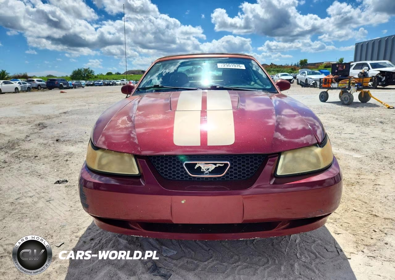 2004 Ford Mustang VIN:1FAFP44424F103519 - 5