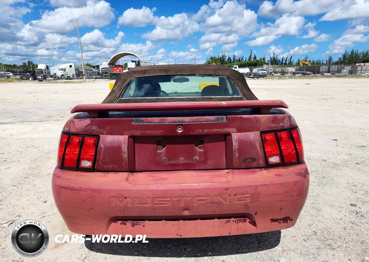 2004 Ford Mustang VIN:1FAFP44424F103519 - 6