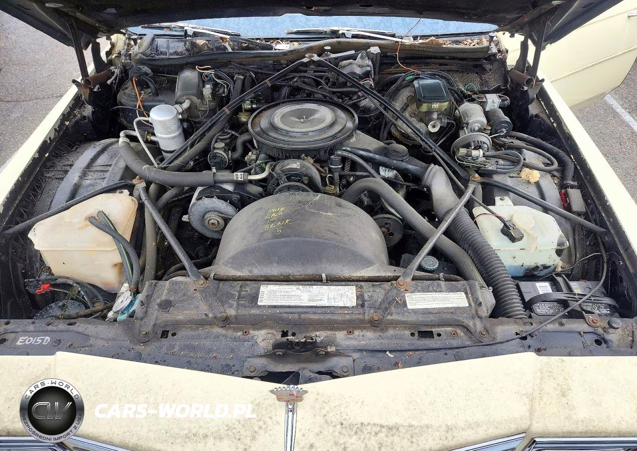 1984 Cadillac Deville VIN:1G6AM6989E9088587 - 11