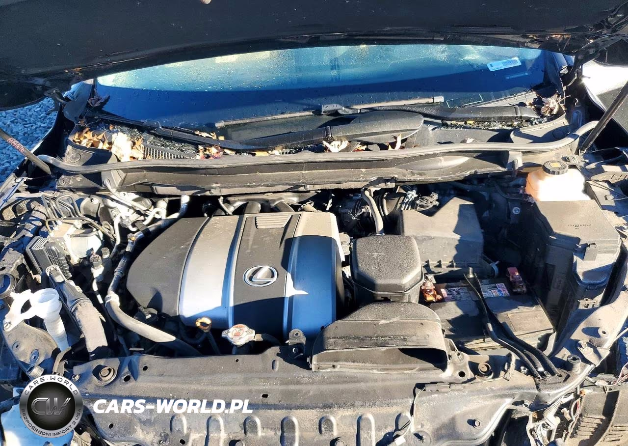 2022 Lexus Rx 350 VIN:2T2HZMDAXNC339571 - 11