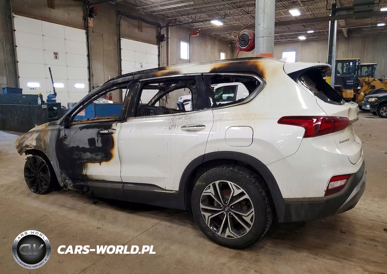 2020 Hyundai Santa Fe Limited VIN:5NMS5CAA8LH232093 - 2