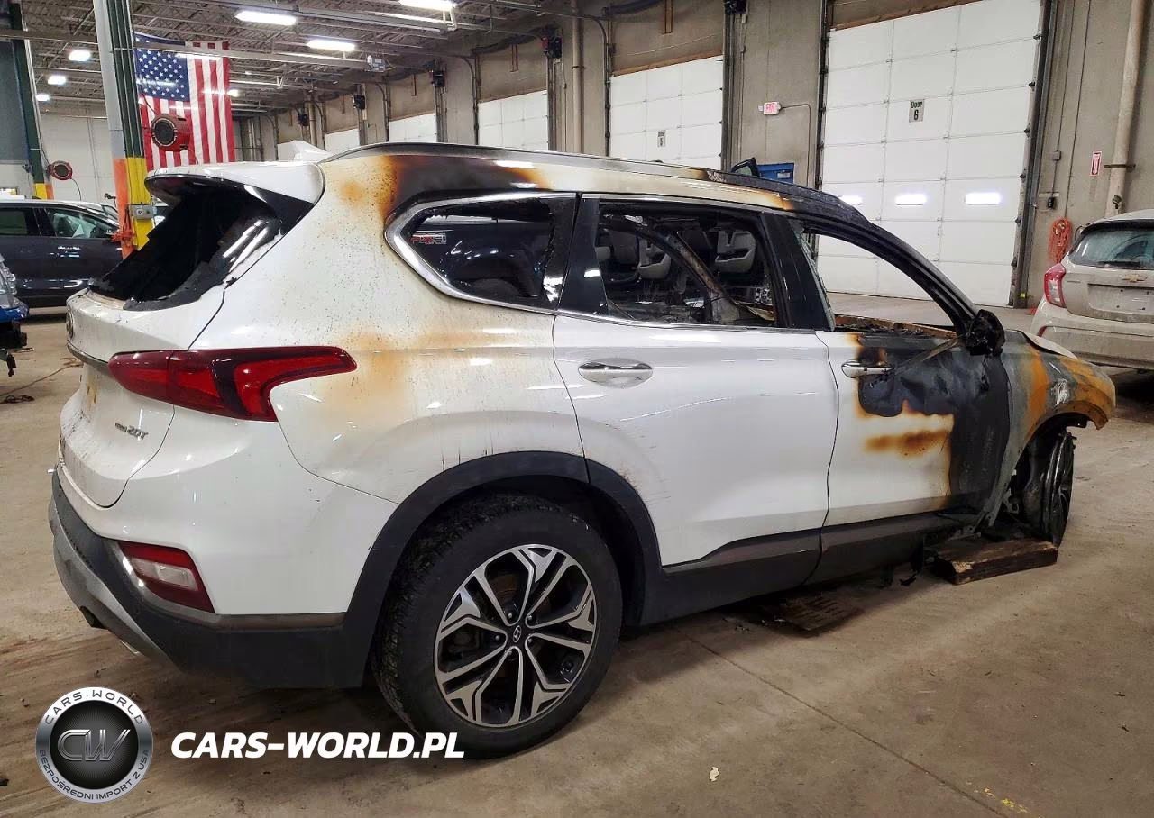 2020 Hyundai Santa Fe Limited VIN:5NMS5CAA8LH232093 - 3