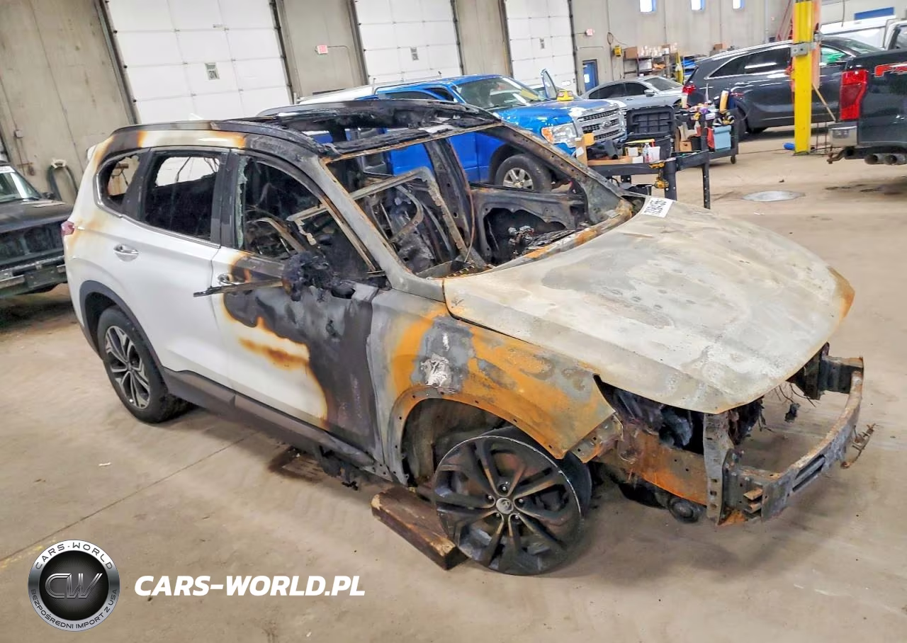 2020 Hyundai Santa Fe Limited VIN:5NMS5CAA8LH232093 - 4
