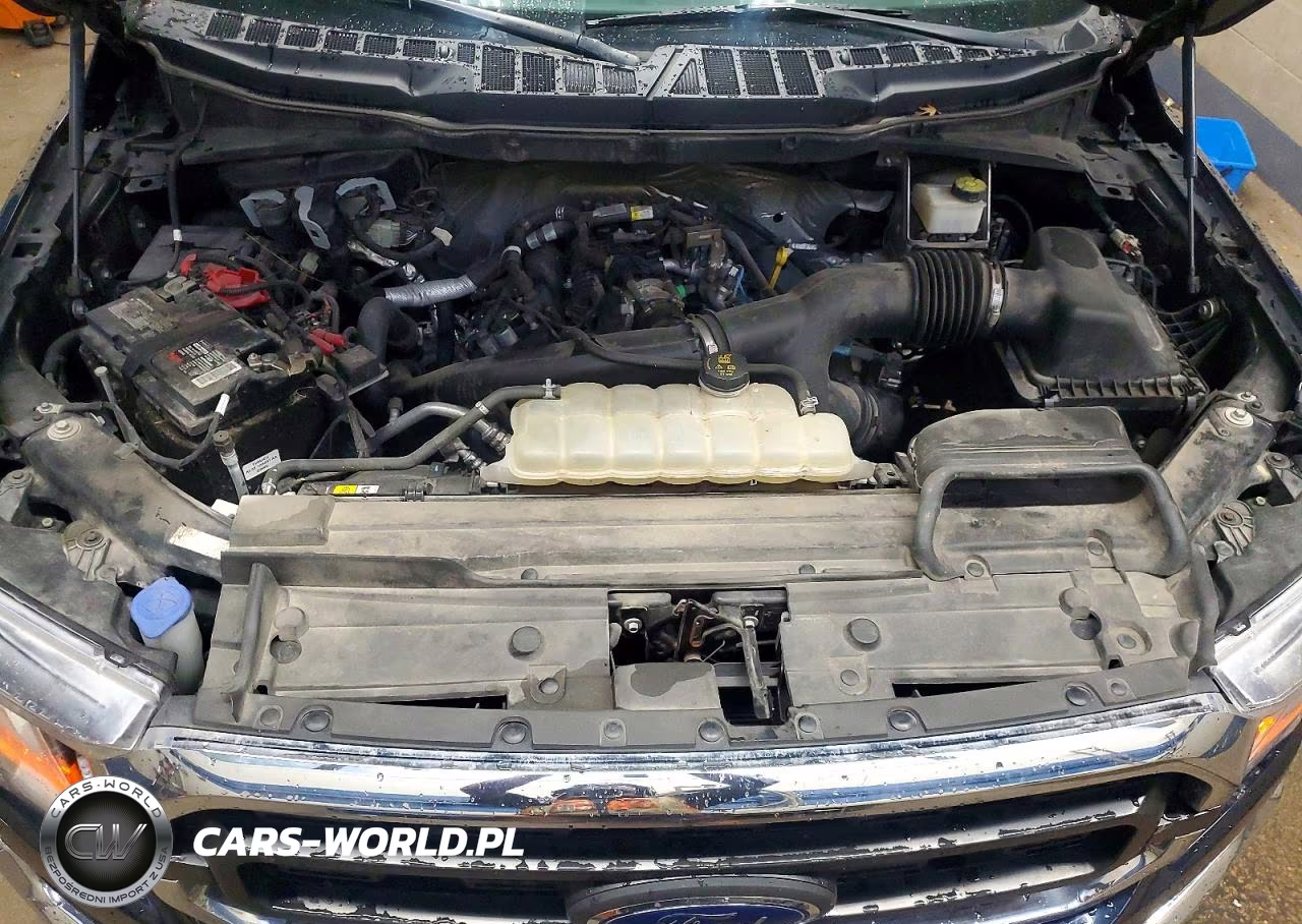 2021 Ford F150 Supercrew VIN:1FTEW1EP9MKE94384 - 11