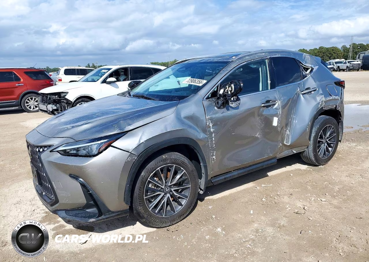 2024 Lexus Nx 250 Base VIN:2T2ADCAZ4RC012738 - 1