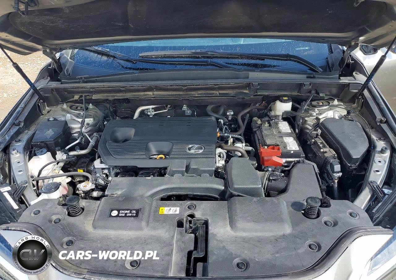 2024 Lexus Nx 250 Base VIN:2T2ADCAZ4RC012738 - 12