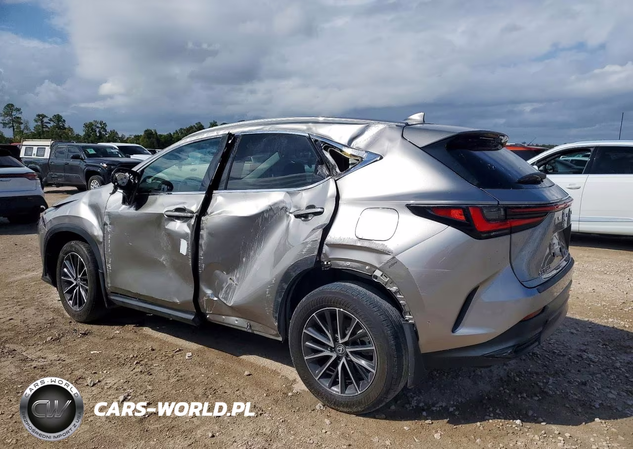 2024 Lexus Nx 250 Base VIN:2T2ADCAZ4RC012738 - 2