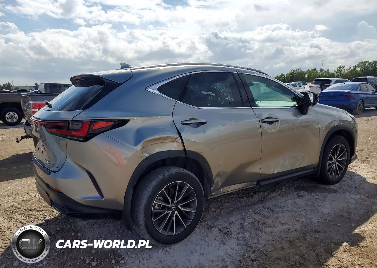 2024 Lexus Nx 250 Base VIN:2T2ADCAZ4RC012738 - 3