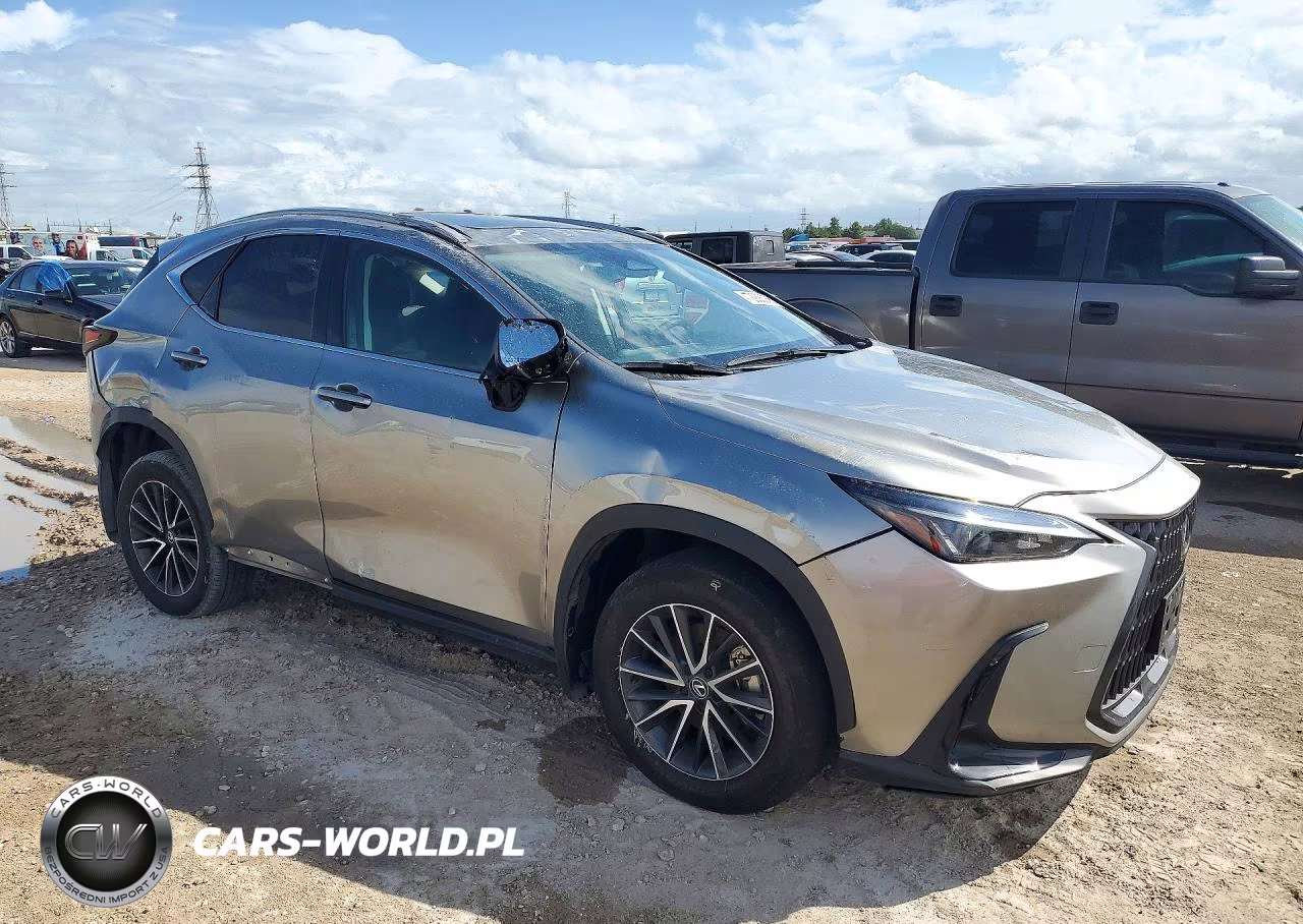 2024 Lexus Nx 250 Base VIN:2T2ADCAZ4RC012738 - 4