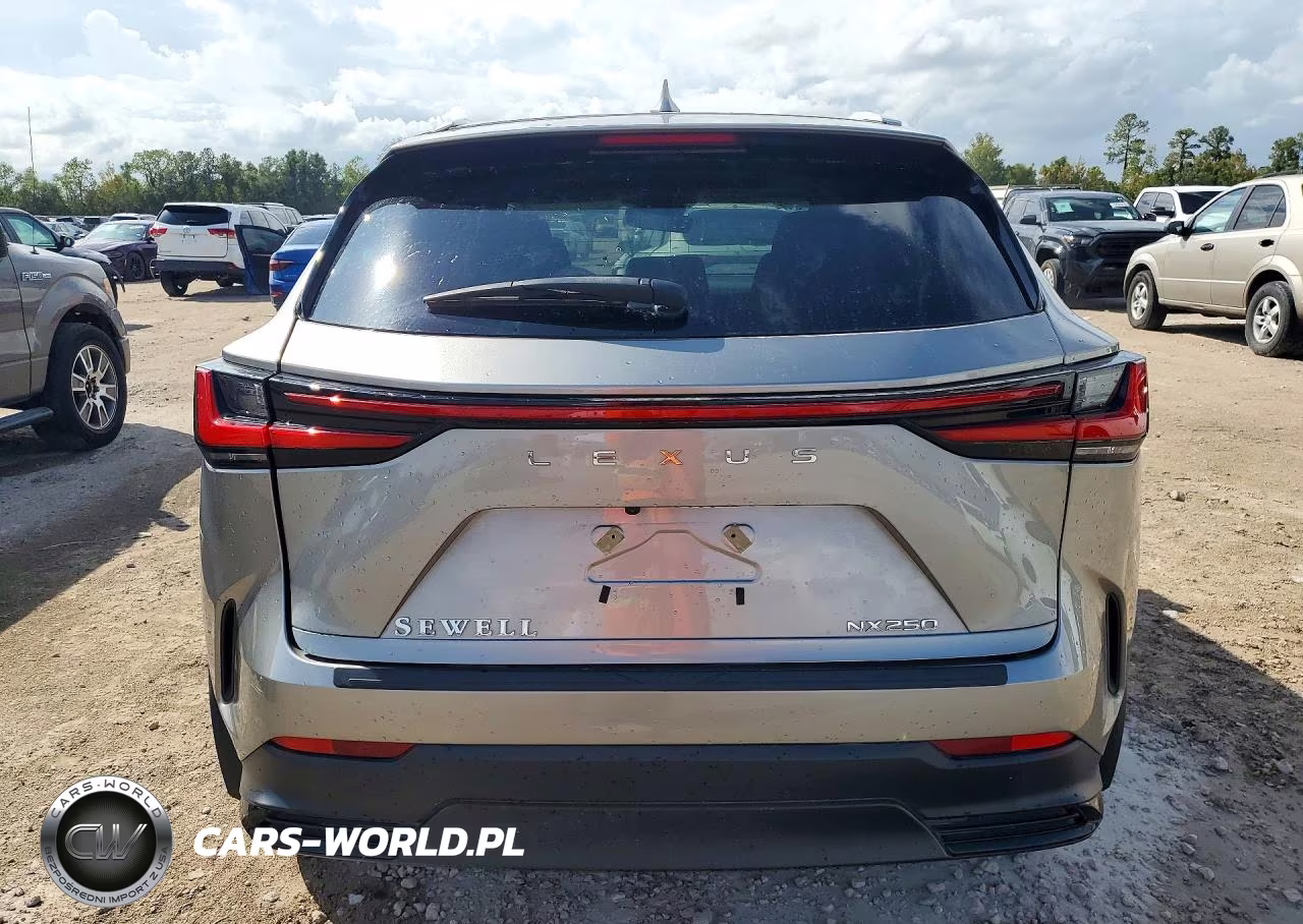2024 Lexus Nx 250 Base VIN:2T2ADCAZ4RC012738 - 6
