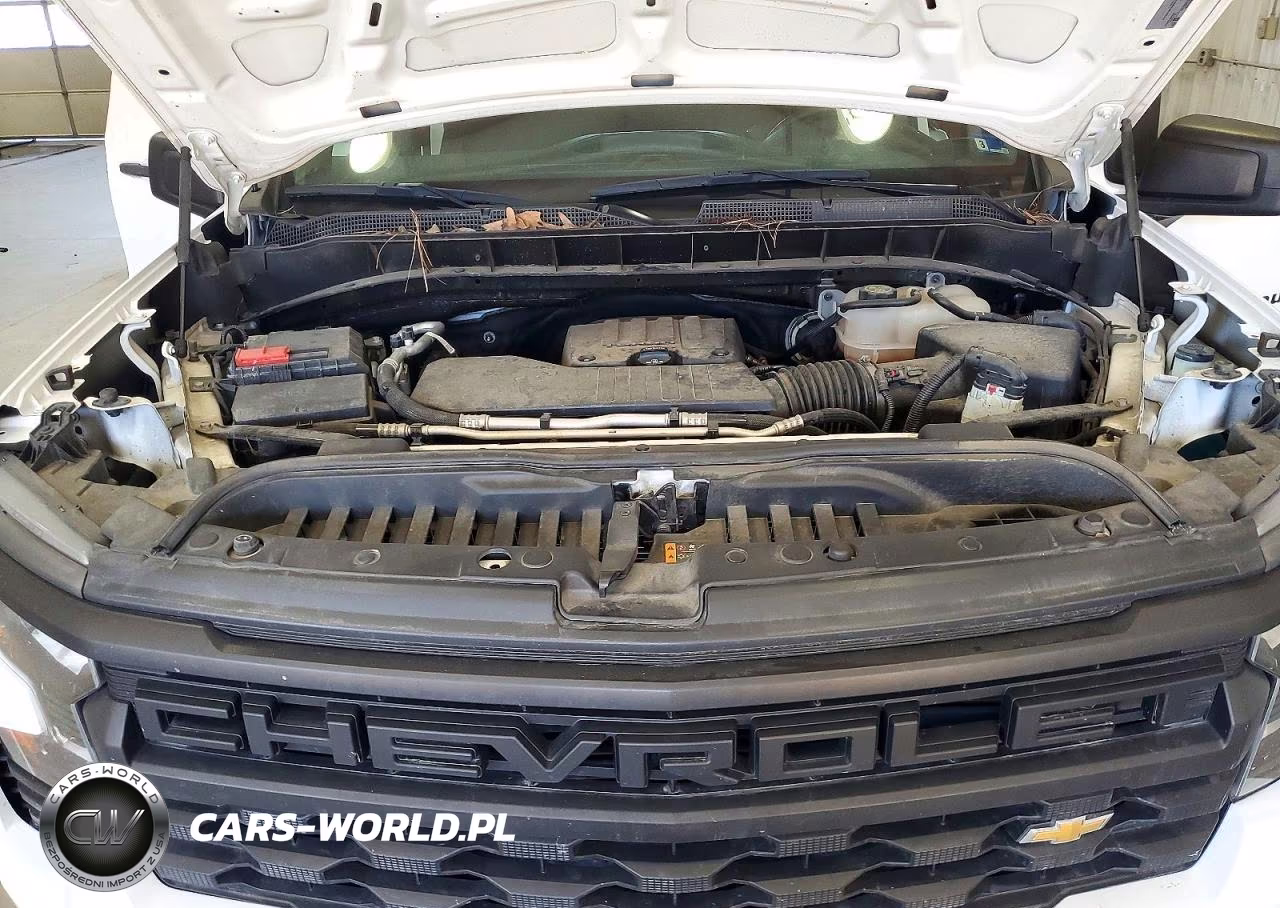 2022 Chevrolet Silverado C1500 VIN:3GCPAAEK2NG674195 - 11