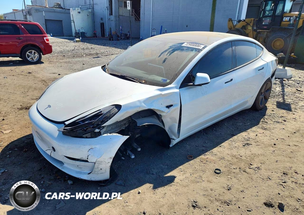 2023 Tesla Model 3 VIN:5YJ3E1EA8PF499681 - 1