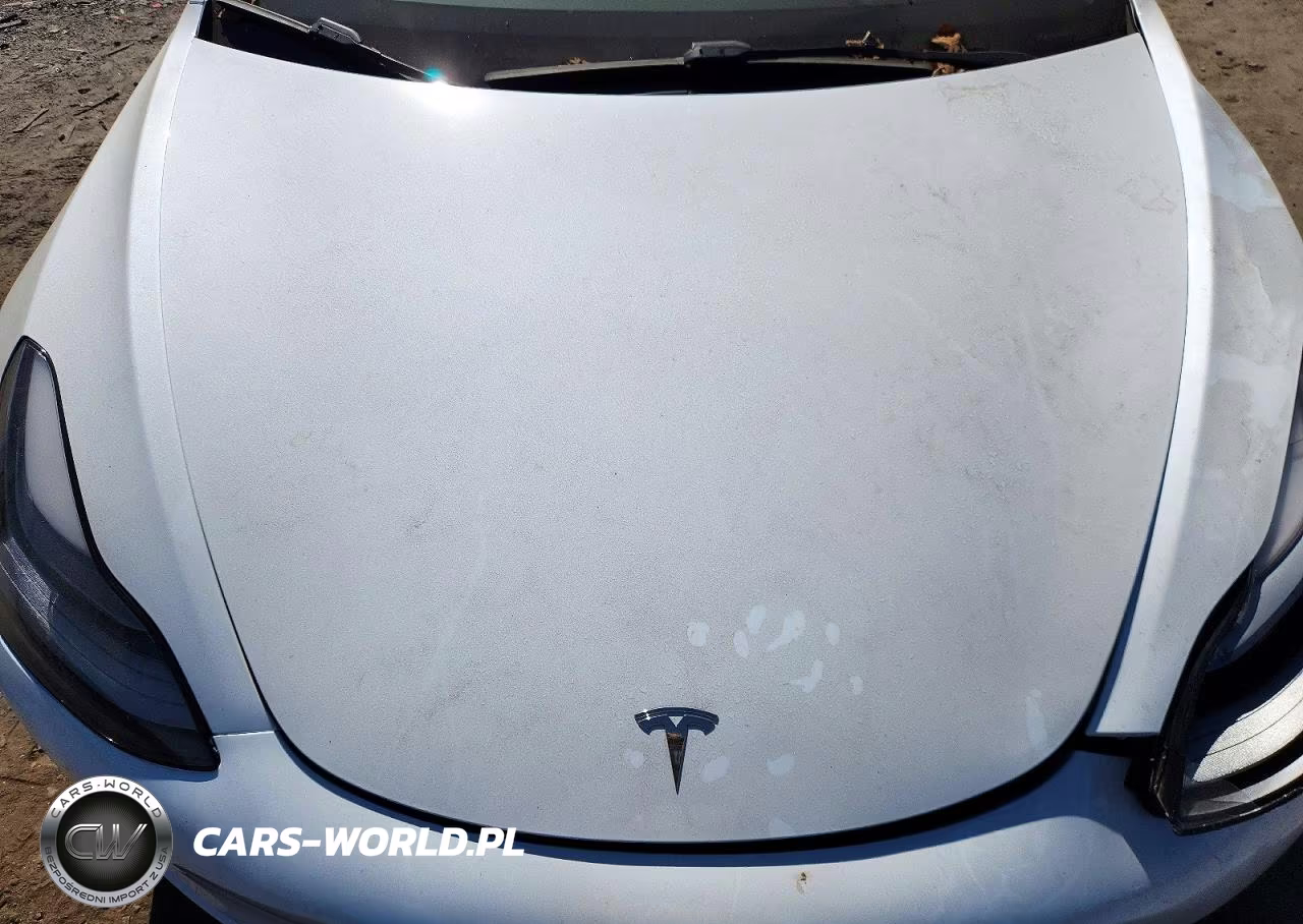 2023 Tesla Model 3 VIN:5YJ3E1EA8PF499681 - 11