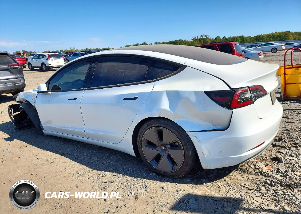 2023 Tesla Model 3 VIN:5YJ3E1EA8PF499681 - 2