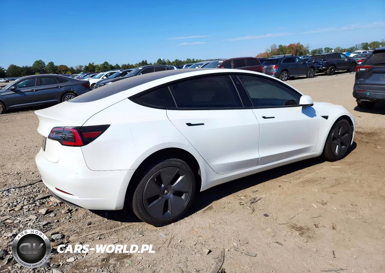 2023 Tesla Model 3 VIN:5YJ3E1EA8PF499681 - 3