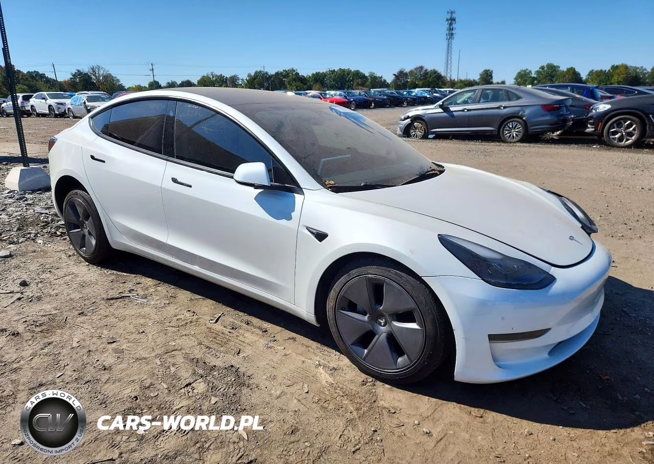 2023 Tesla Model 3 VIN:5YJ3E1EA8PF499681 - 4