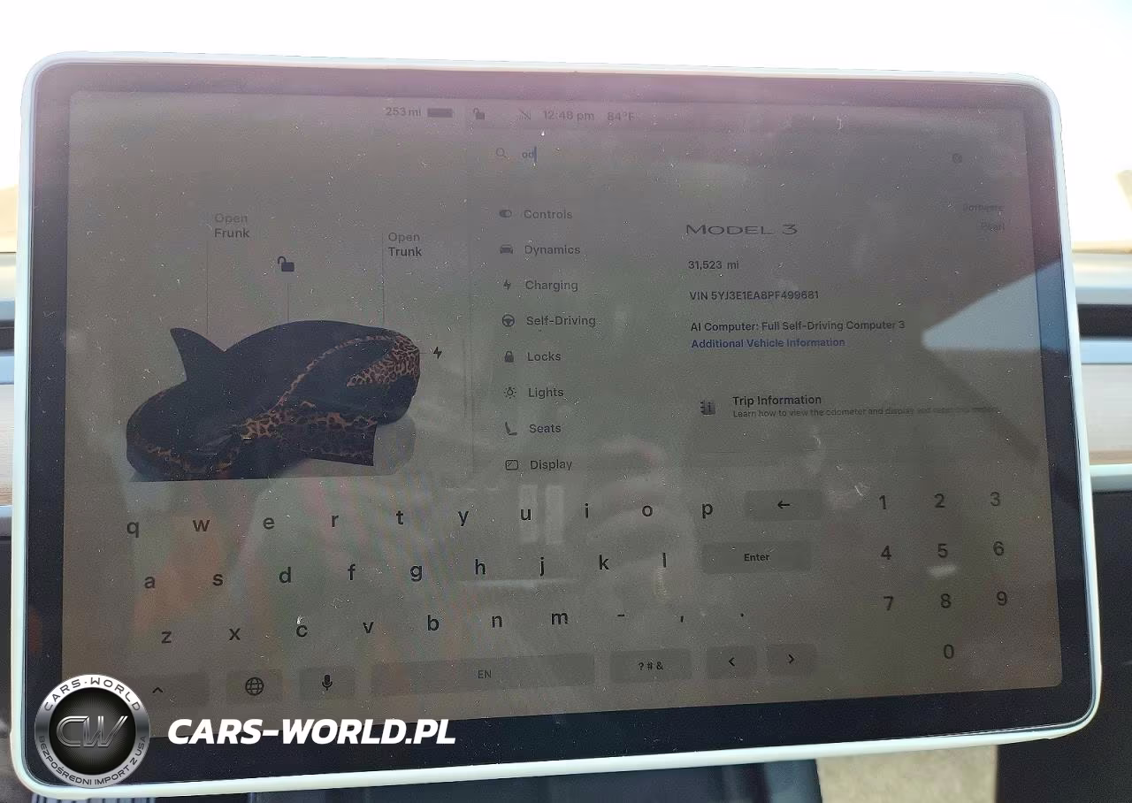 2023 Tesla Model 3 VIN:5YJ3E1EA8PF499681 - 9