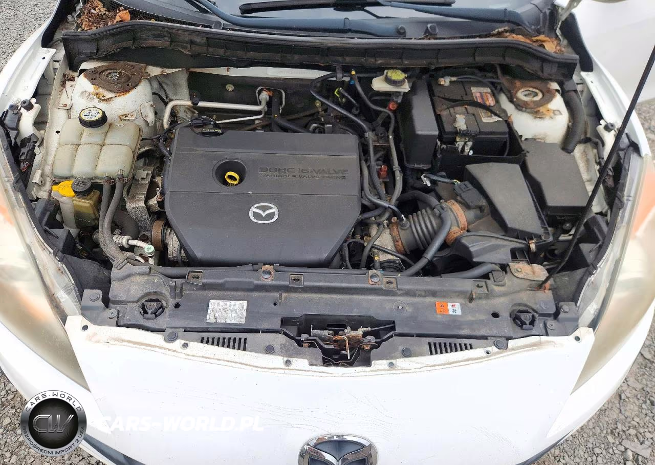 2010 Mazda 3 I VIN:JM1BL1SG4A1280954 - 11