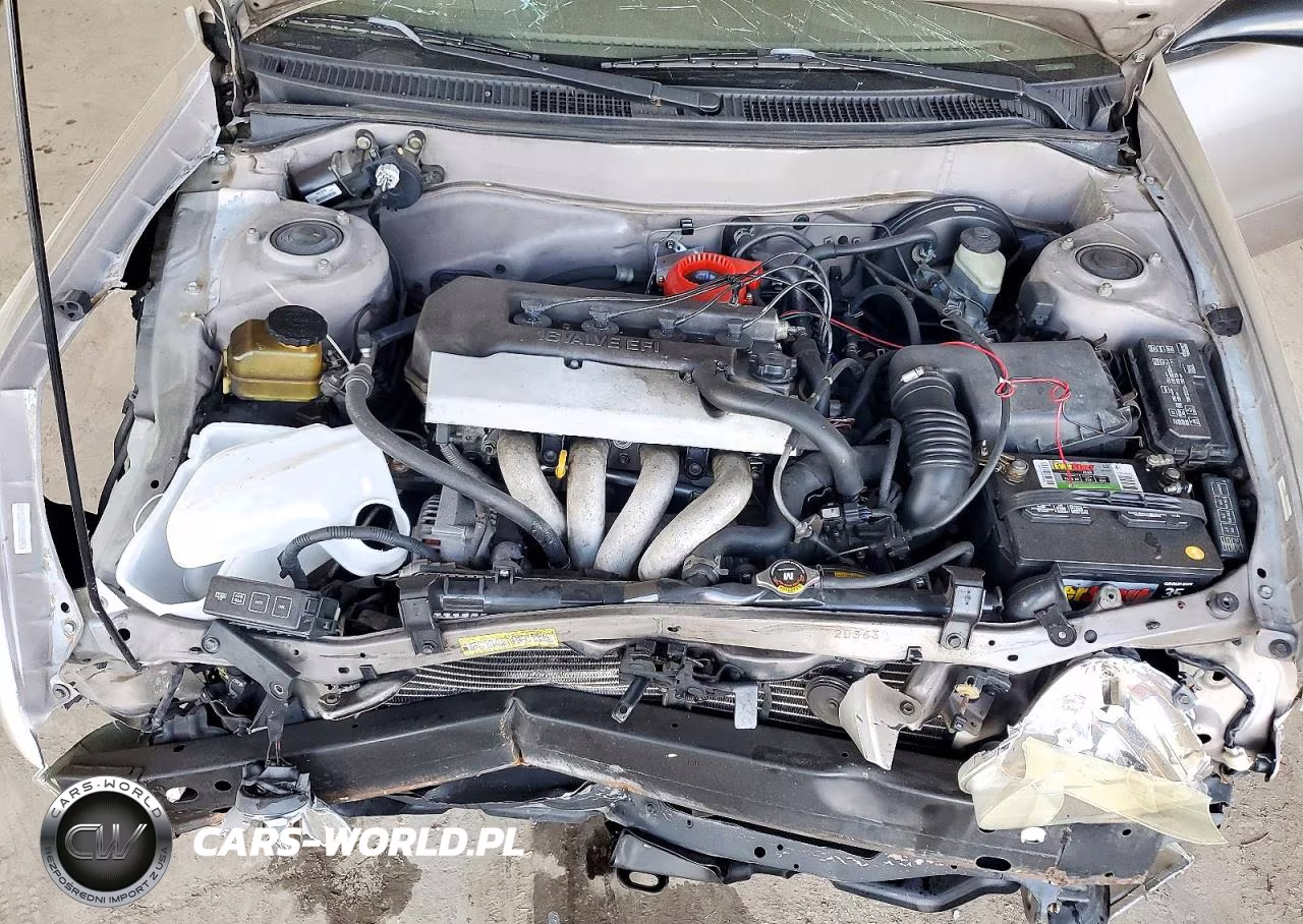 1999 Toyota Corolla Ve VIN:1NXBR12E1XZ229668 - 11