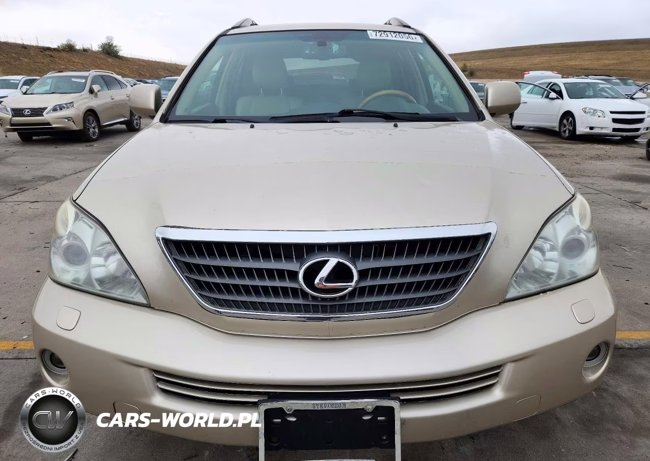 2007 Lexus Rx 400H VIN:JTJHW31U372027807 - 5