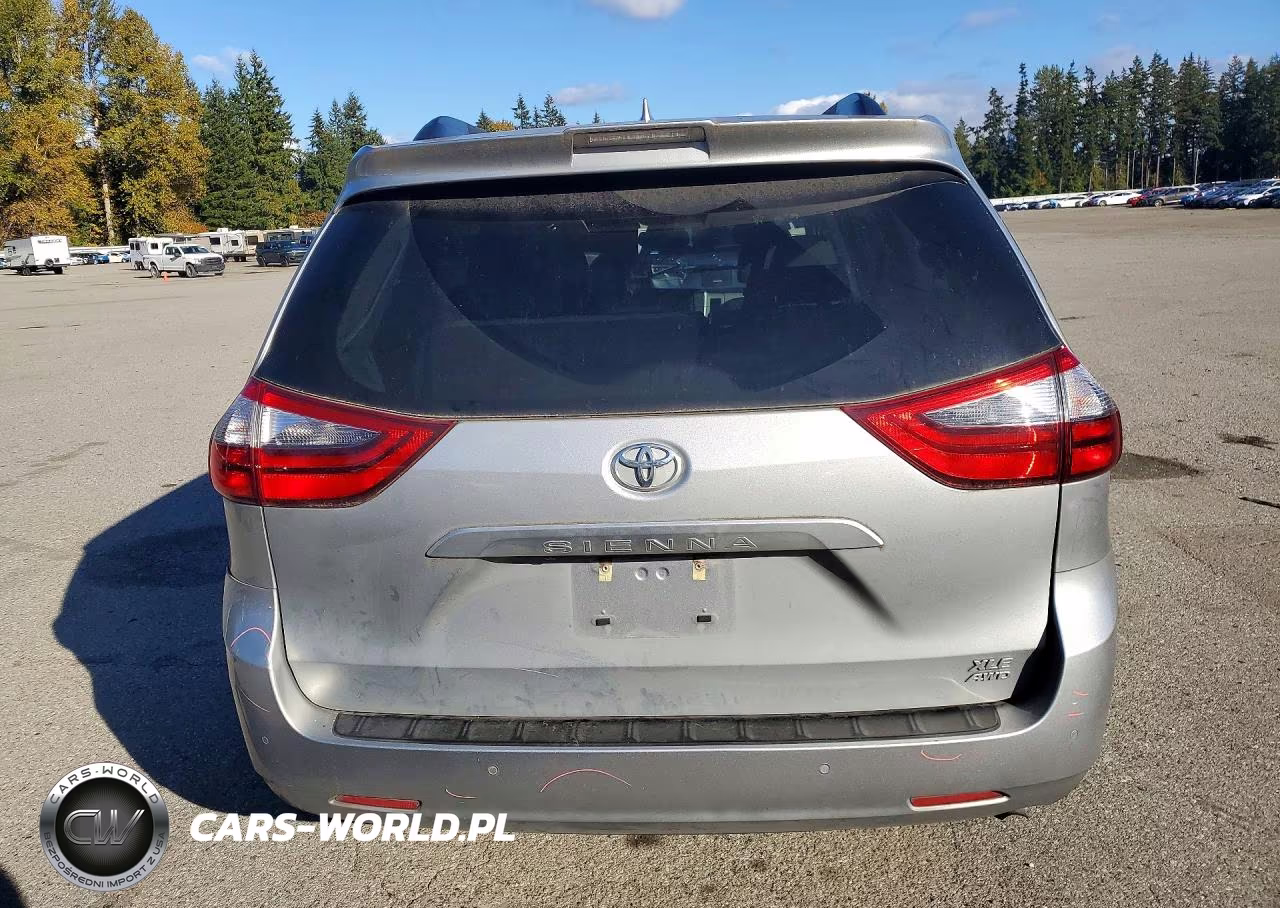 2020 Toyota Sienna Xle 7-Passenger VIN:5TDDZ3DC0LS233651 - 6