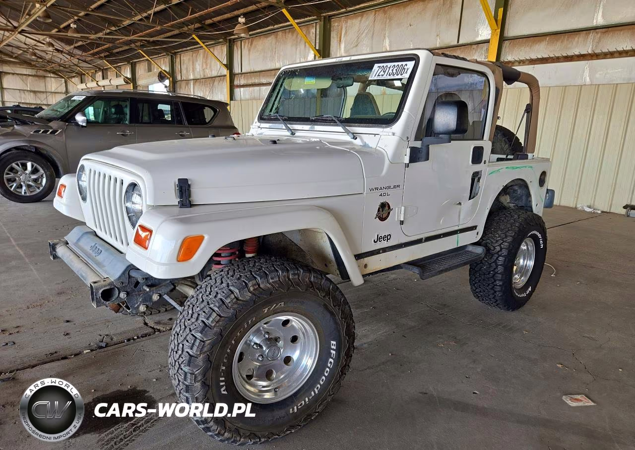 1999 Jeep Wrangler - Tj Sahara