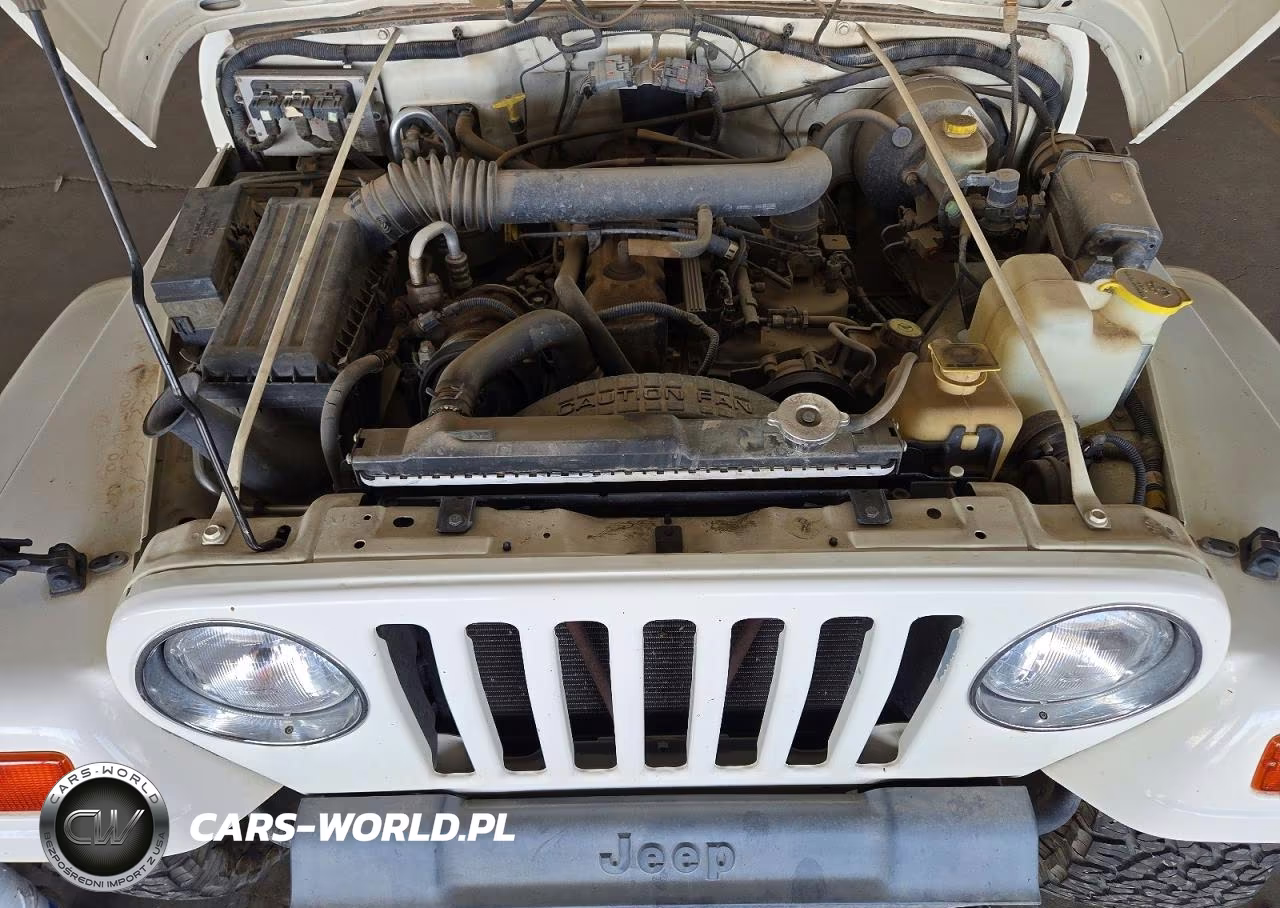 1999 Jeep Wrangler - Tj Sahara VIN:1J4FY49SXXP444643 - 12