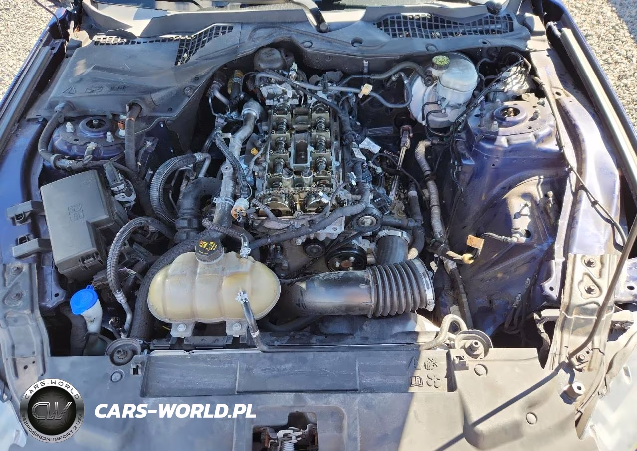 2020 Ford Mustang VIN:1FA6P8TH8L5149601 - 11