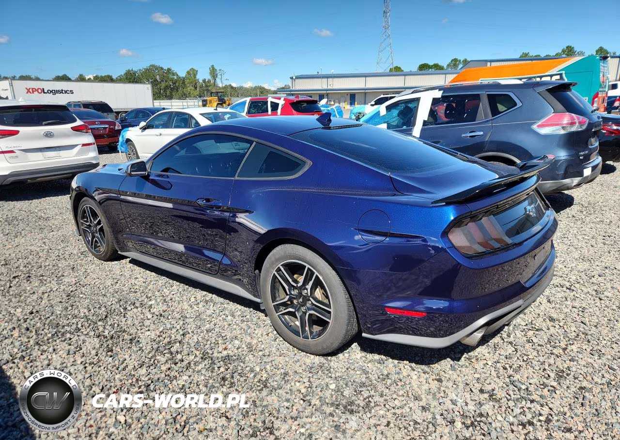2020 Ford Mustang VIN:1FA6P8TH8L5149601 - 2