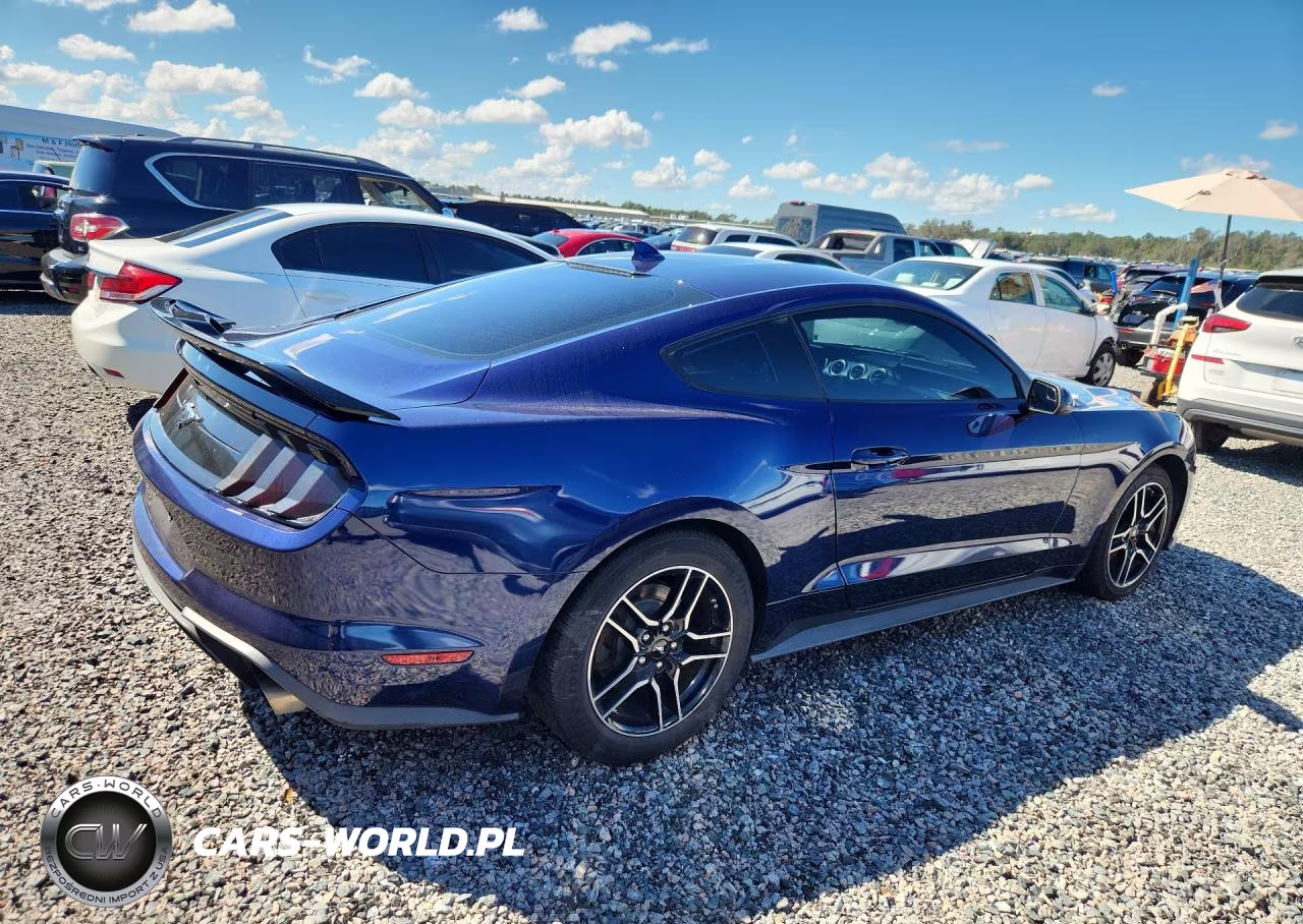 2020 Ford Mustang VIN:1FA6P8TH8L5149601 - 3