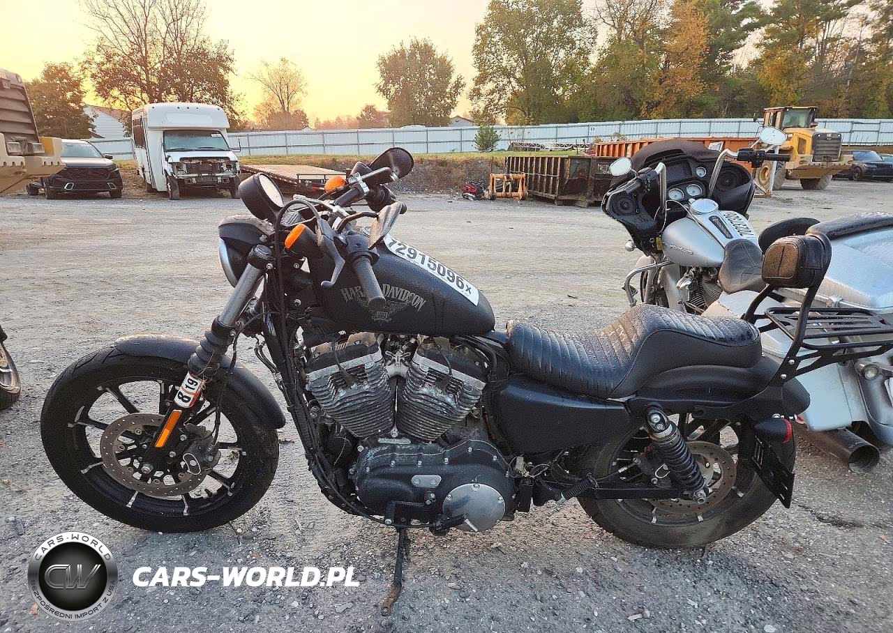 2016 Harley-Davidson Xl883 Iron 883 VIN:1HD4LE212GC438523 - 3