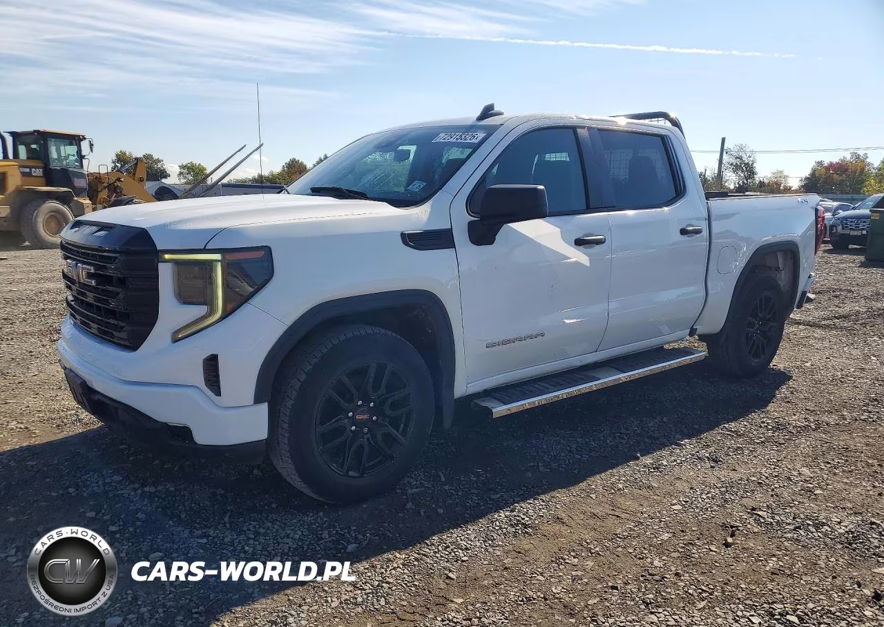 2024 GMC Sierra K1500 VIN:1GTPUAEK3RZ189738 - 1