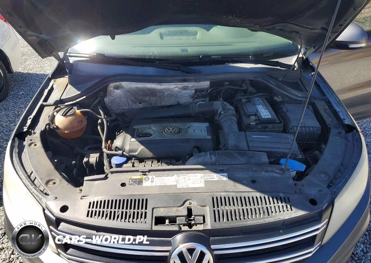 2013 Volkswagen Tiguan S VIN:WVGAV3AXXDW592458 - 12