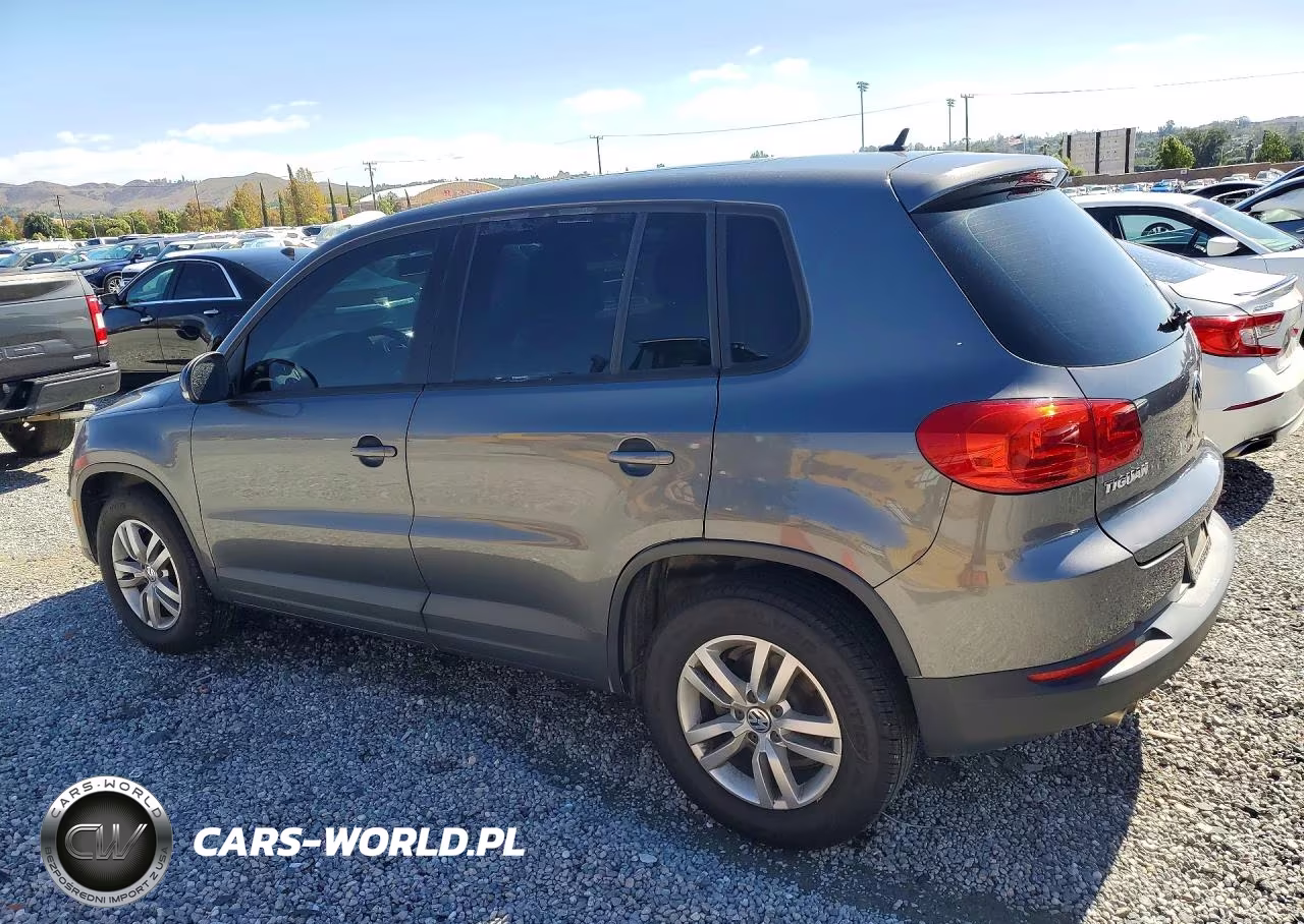 2013 Volkswagen Tiguan S VIN:WVGAV3AXXDW592458 - 2