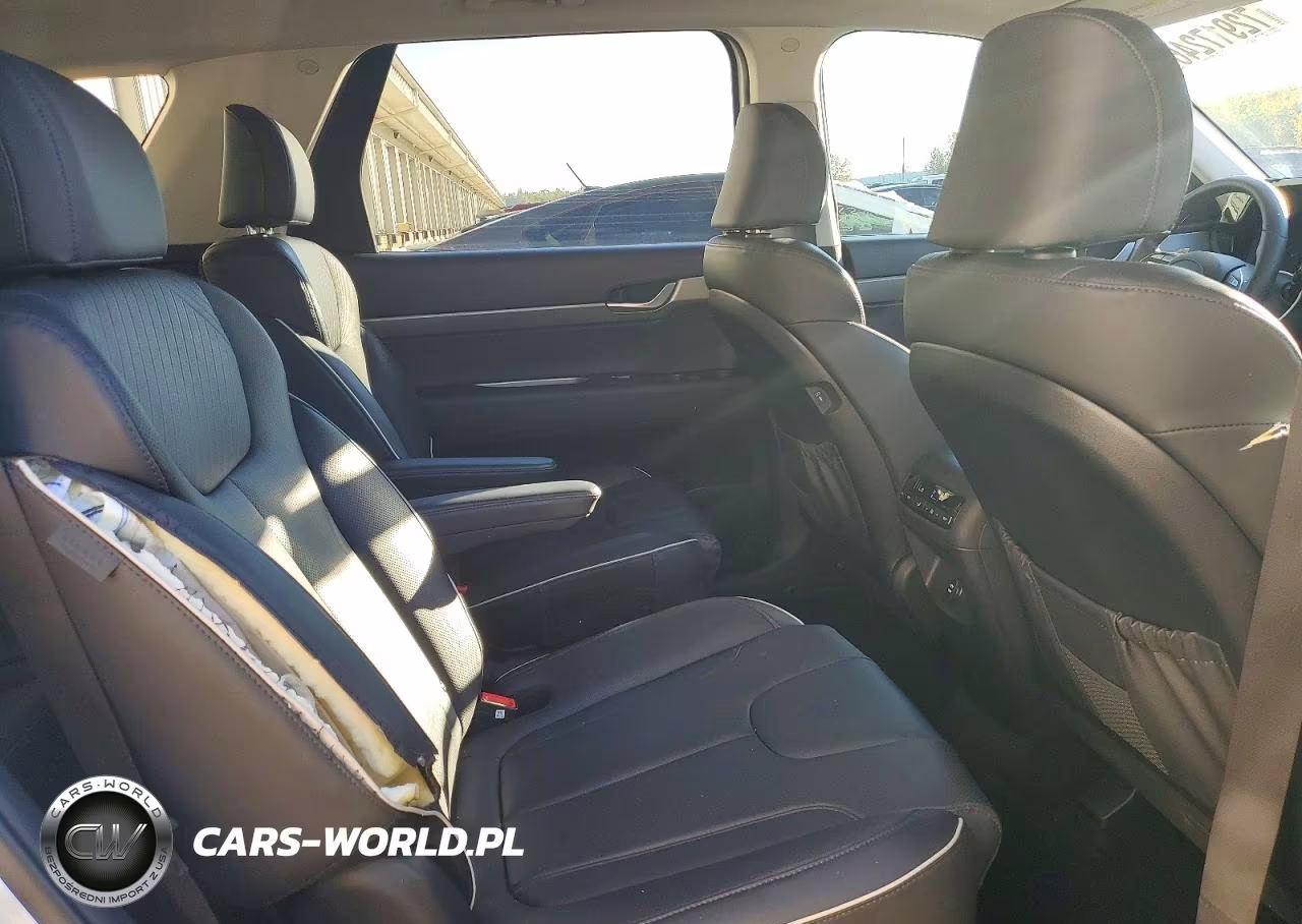 2023 Hyundai Palisade Xrt VIN:KM8R34GE8PU585383 - 11