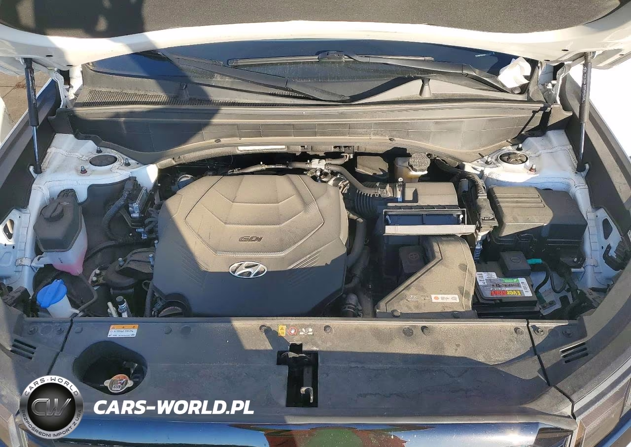 2023 Hyundai Palisade Xrt VIN:KM8R34GE8PU585383 - 12
