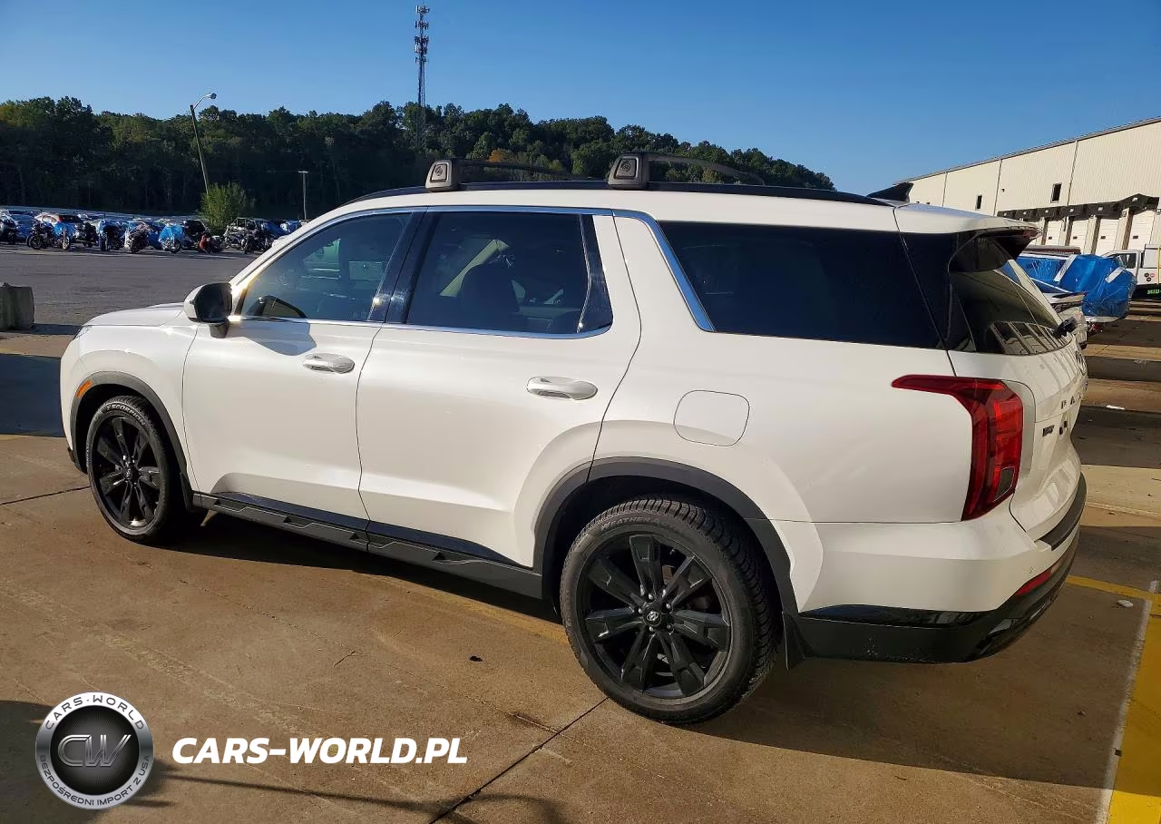 2023 Hyundai Palisade Xrt VIN:KM8R34GE8PU585383 - 2
